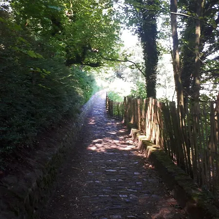 Au Coeur De * Cassel